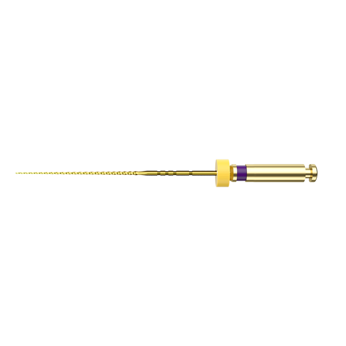 
                      NIC® PTF+ Rotary Glide Path File
                      PTF+ #1 / P1
                      13/.02
                      Purple
                      file
                    
