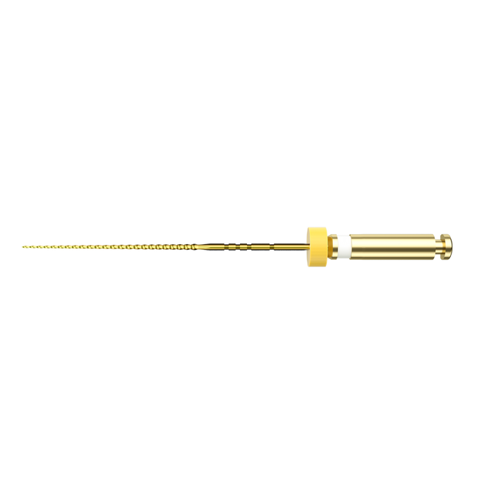 
                      NIC® PTF+ Rotary Glide Path File
                      PTF+ #2 / P2
                      16/.02
                      White
                      file
                    